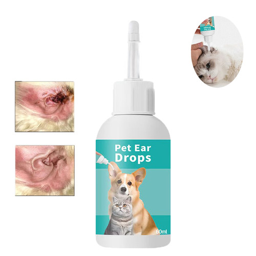 Cat dog ear - ear, pet