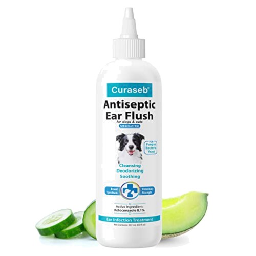 Dog ear infection - dog, treatment