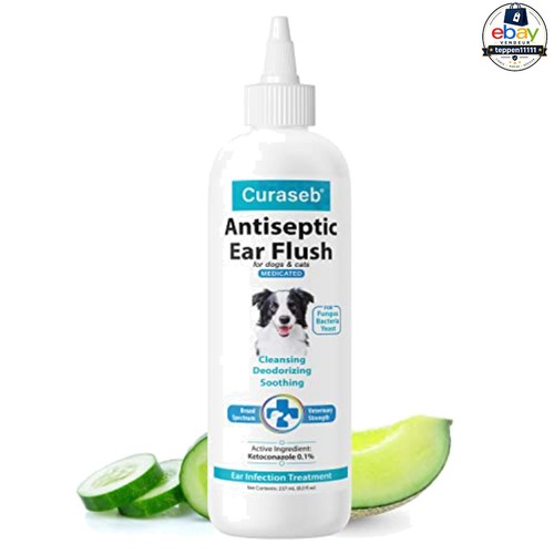 Dog ear infection - infection, treatment